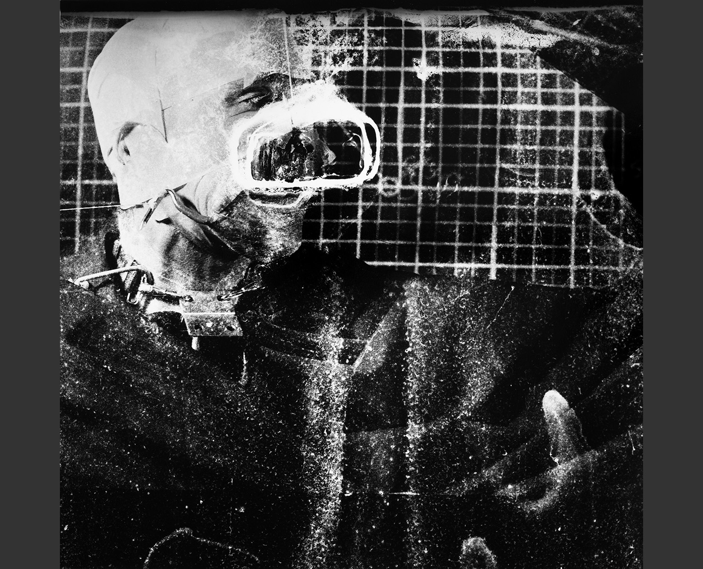 Head Studies, Paul Lowry